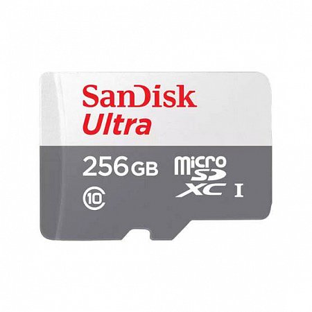 SanDisk Ultra 256GB microSD card (without adapter)